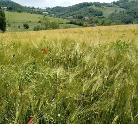 Campo D'arco * Nocera Umbra