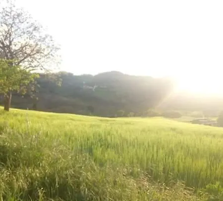 Campo D'arco Holiday home *