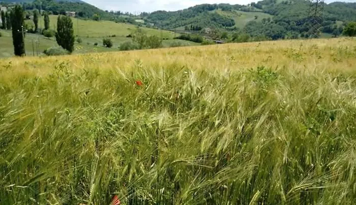Campo D'arco * Nocera Umbra