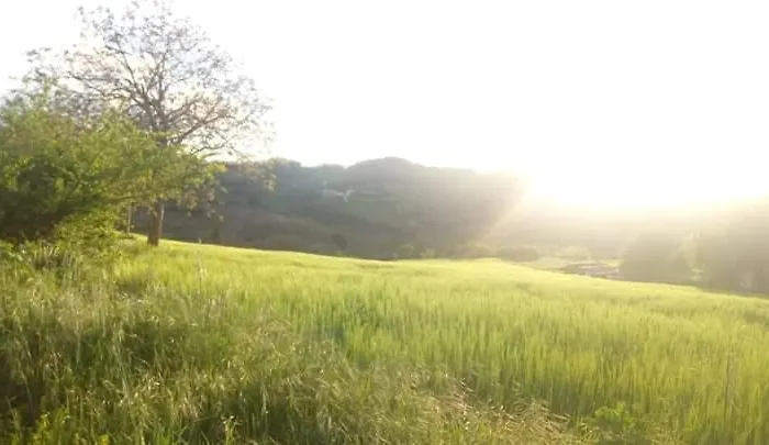 Campo D'arco Vakantiehuis *